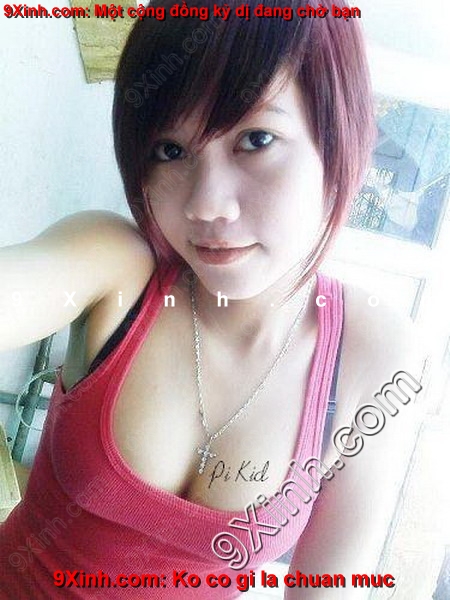 vimax.xtgem.com